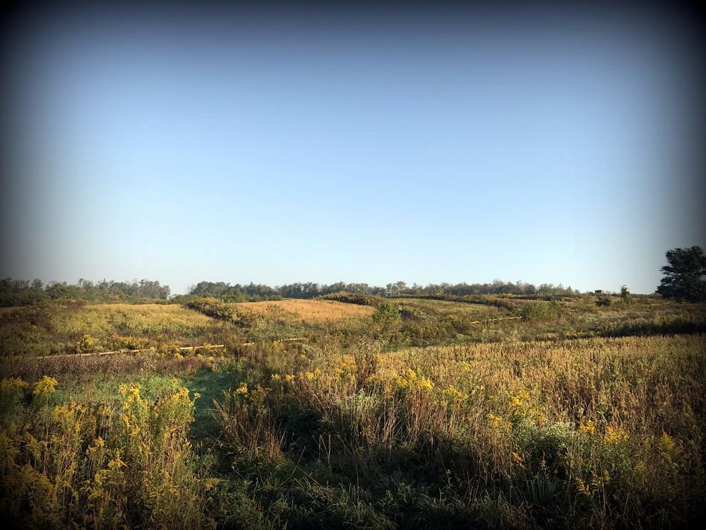 ±87 Acres Land: Route 519, North Strabane, PA 15317